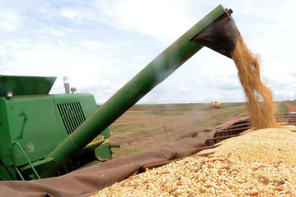 Safra-de-soja-1024x683 Brasil aumenta produtividade de grãos na safra 2018/2019