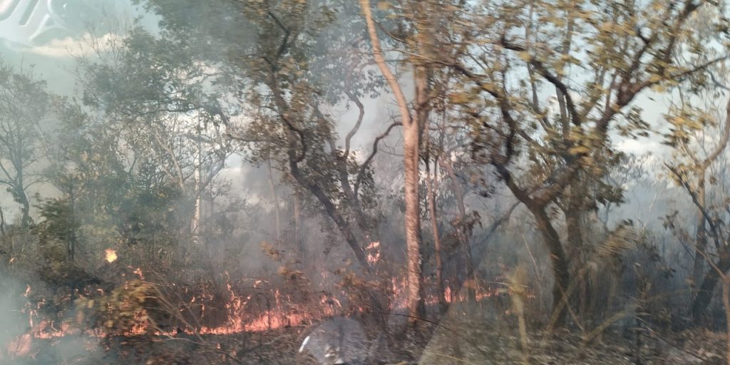 Queimada-1024x512 Tocantins e outros três estados pedem ajuda das Forças Armadas para combate a incêndios