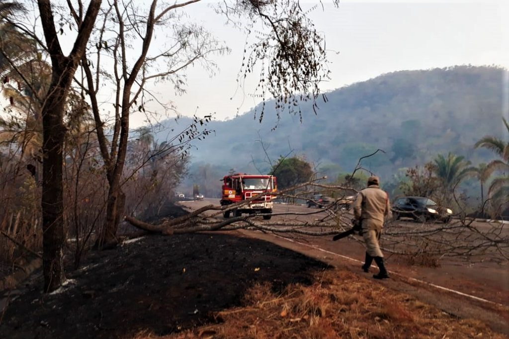 fogo-no-Vale-do-Vai-quem-Quer-2-1024x682 Bombeiros controlam fogo no Vale do Vai quem Quer e resgatam animal silvestre em Taquaruçu