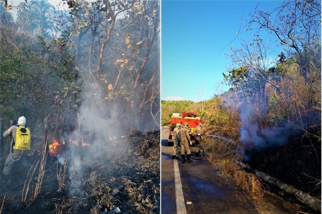 fogo-no-Vale-do-Vai-quem-Quer-5-1024x680 Bombeiros controlam fogo no Vale do Vai quem Quer e resgatam animal silvestre em Taquaruçu