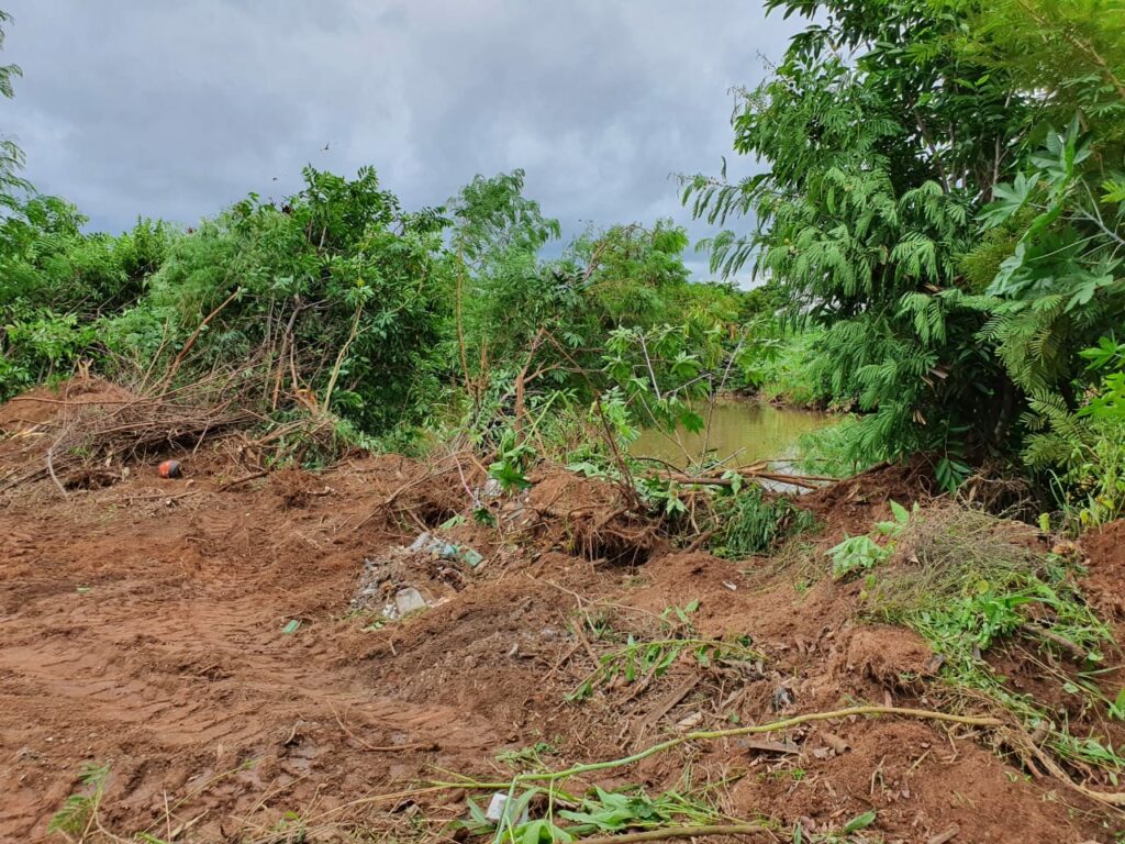Mutuca-1-1024x768 Determinação judicial permitiu supressão de vegetação nativa na margem do córrego Mutuca, diz prefeitura