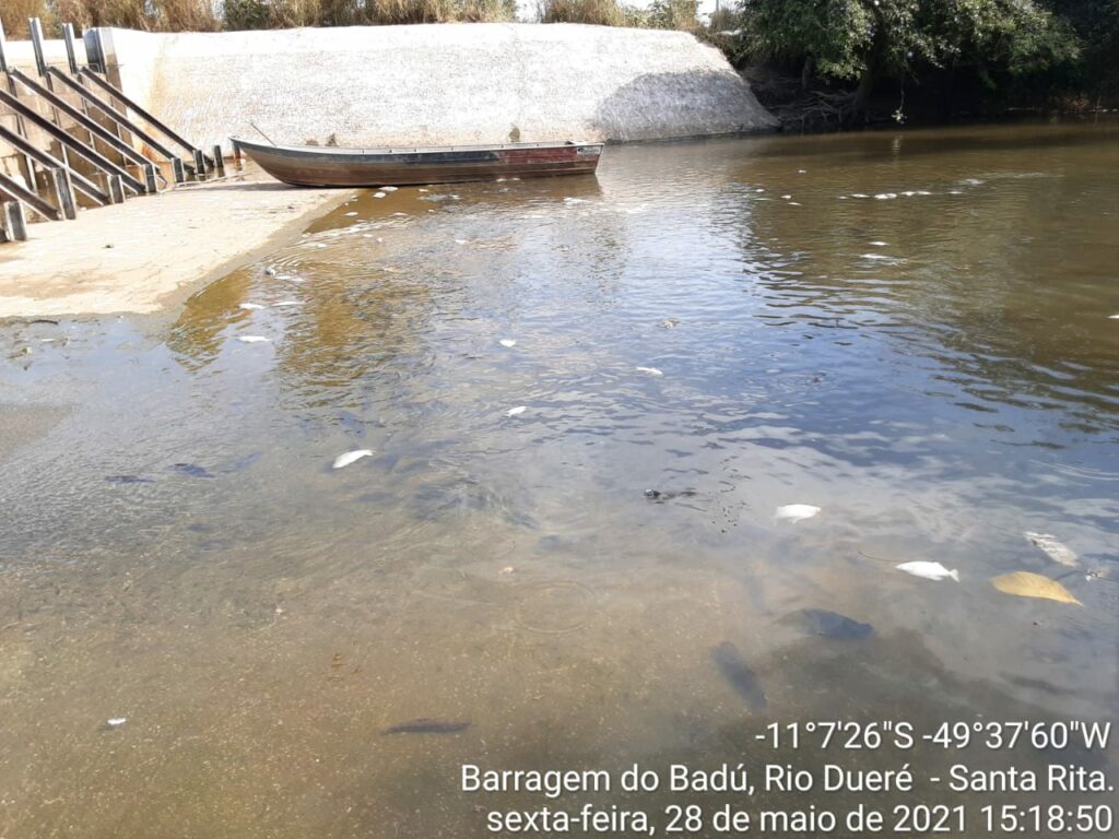 peixe-5-1024x768 Morte de peixes em barragem no Rio Dueré e a regularidade ambiental do empreendimento serão apurados pelo MPE