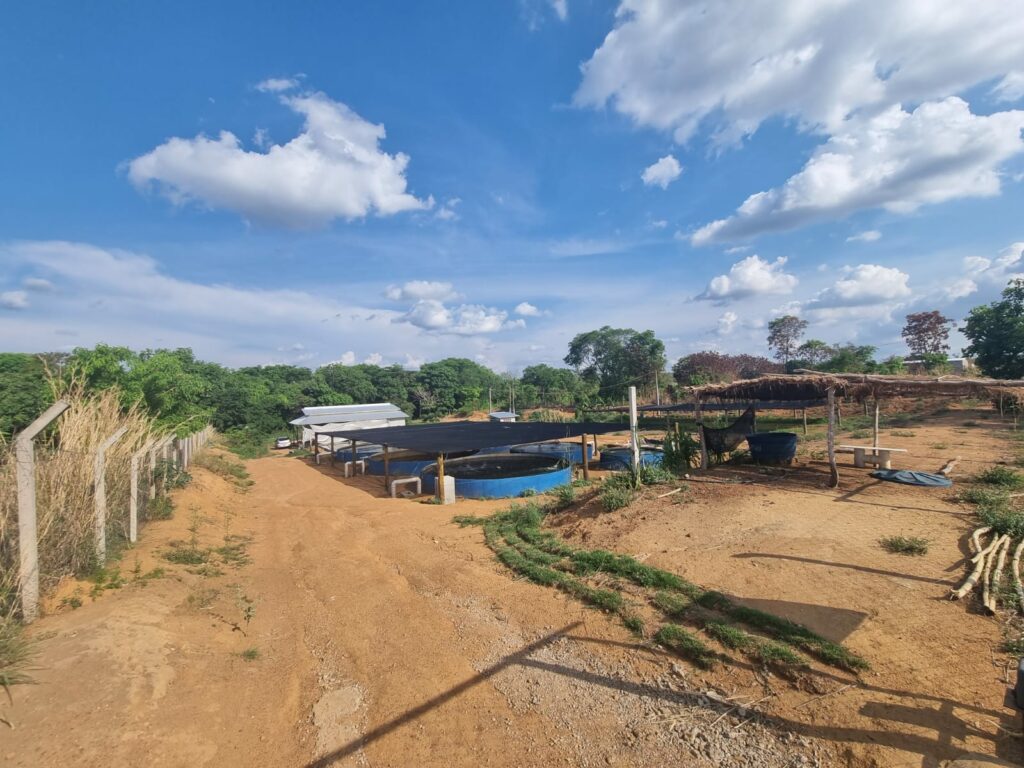 Psicultura-Ikigai-1-1024x768 Projeto de piscicultura em Gurupi recebe recurso no valor de R$ 300 mil da Agência de Fomento do Tocantins