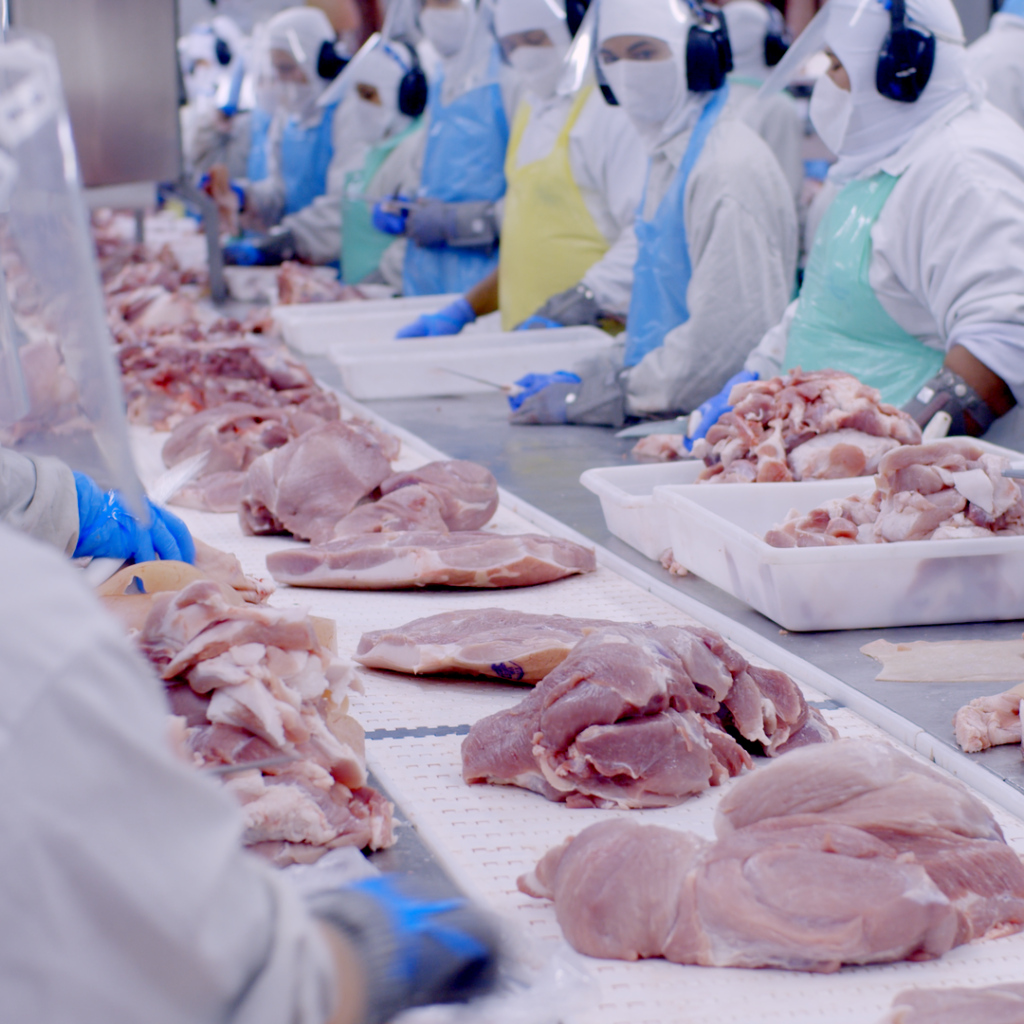 Minerva-Foods-2-1024x1024 Instituições sociais de Araguaína/TO recebem 200 kg de carne bovina do Minerva Foods