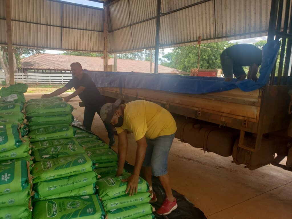 sementes-agricultura-familiar-gurupi-1024x768 Mais de 2 toneladas de sementes serão distribuídas para agricultores familiares de Gurupi