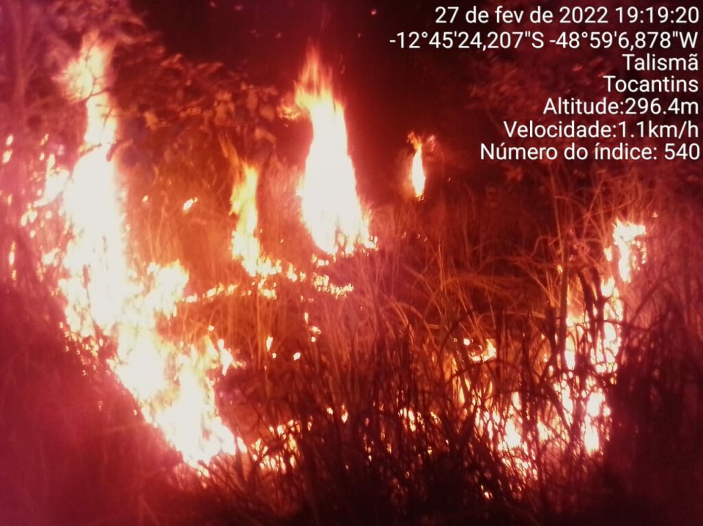 WhatsApp-Image-2022-02-27-at-22.26.49-1024x767 Cabo elétrico provoca incêndio florestal em Talismã