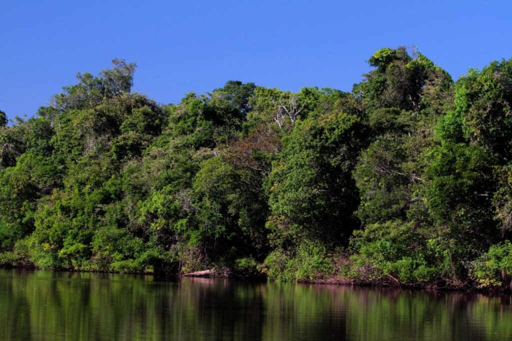 Foto-2-Fernando-Alves-1024x682 Preservação do Cerrado é fundamental para garantir acesso à água em todo o Brasil
