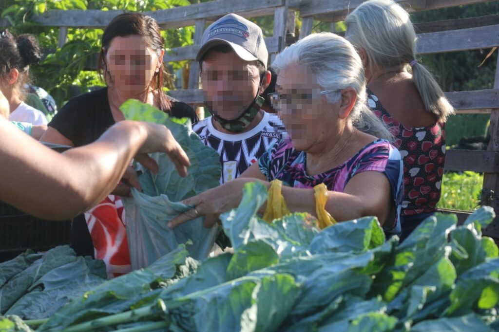 Horta-comunitaria-Edaurdo-Fortes-1024x682 Enquanto o povo/político briga nós vamos cuidando do povo entregando nossas verduras em nosso projeto social, diz Eduardo Fortes
