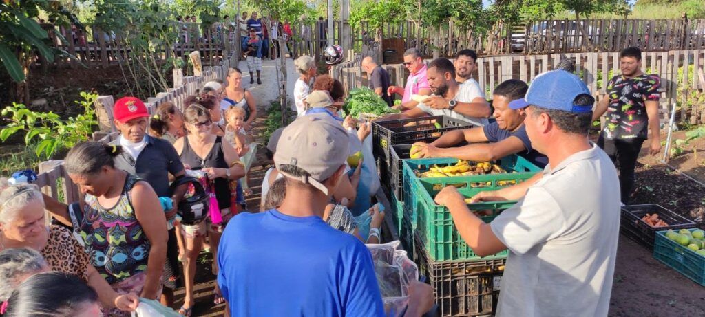 Horta-Comunitaria-2-1024x461 Em 60 dias, projeto Horta Comunitária atende mais de cinco mil famílias e distribui 20 toneladas de alimentos