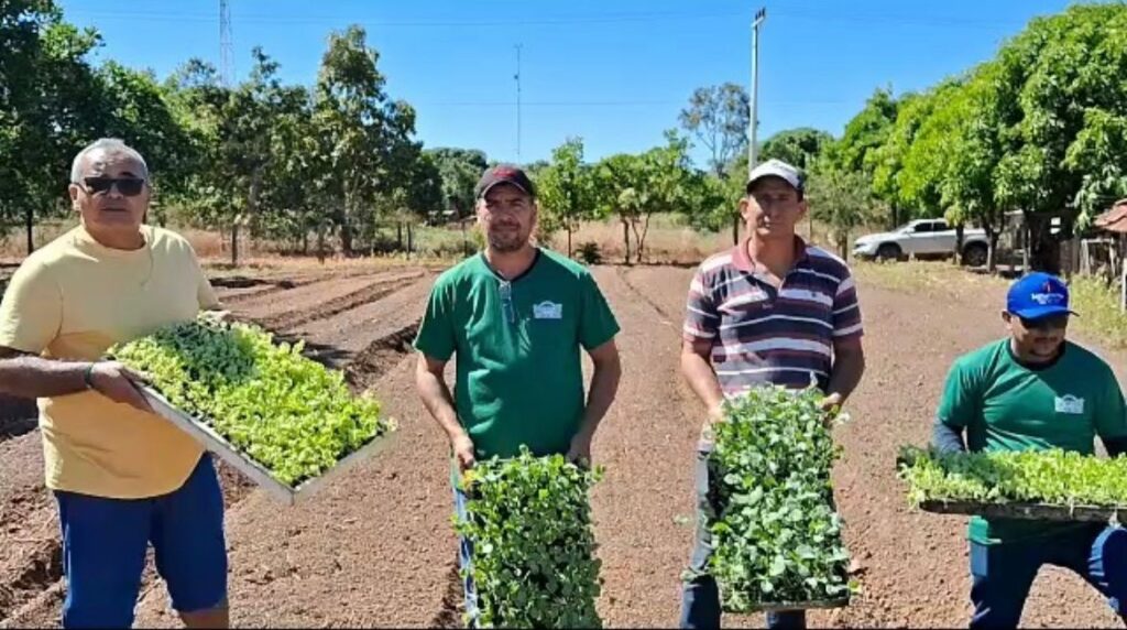 Horta-comunitaria-eduardo-1024x572 Eduardo Fortes implanta mais uma nova horta comunitária na região Sul do TO
