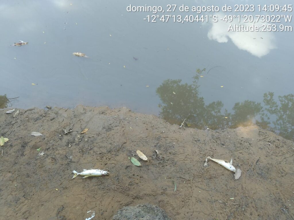 WhatsApp-Image-2023-08-27-at-18.38.25-1024x768 Defesa Civil registra morte de peixes em rio na cidade de Talismã