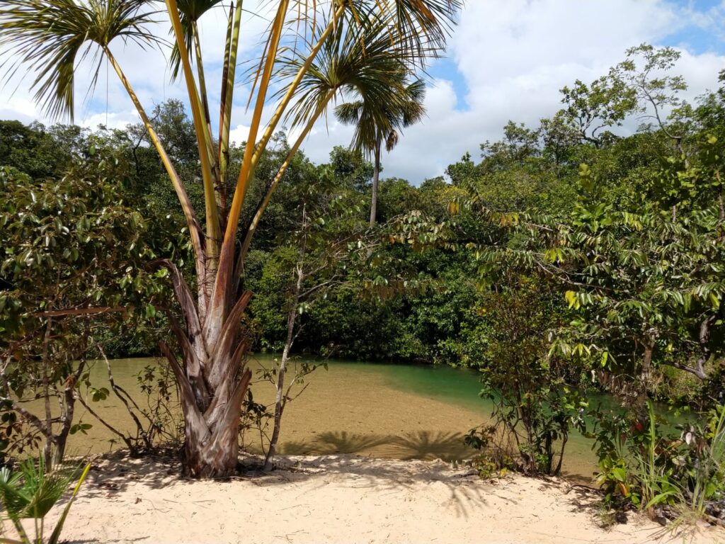 WhatsApp-Image-2021-09-29-at-13.15.01-3-1024x768 Tocantins 33 anos: A praia que leva o nome do fruto principal do cerrado tocantinense