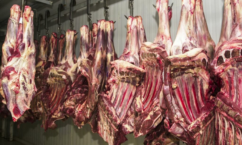 Carne-1024x613 Exportações totais de carne bovina diminuem ritmo de crescimento pelo seguindo mês consecutivo, em julho