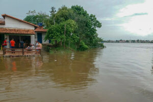 Relatório aponta quase 500 desabrigados pela a enchente no Tocantins