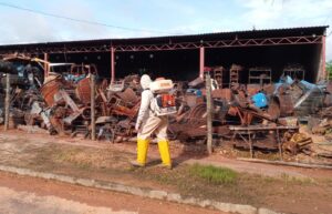 Alerta| Casos de chikungunya aumentam no Tocantins